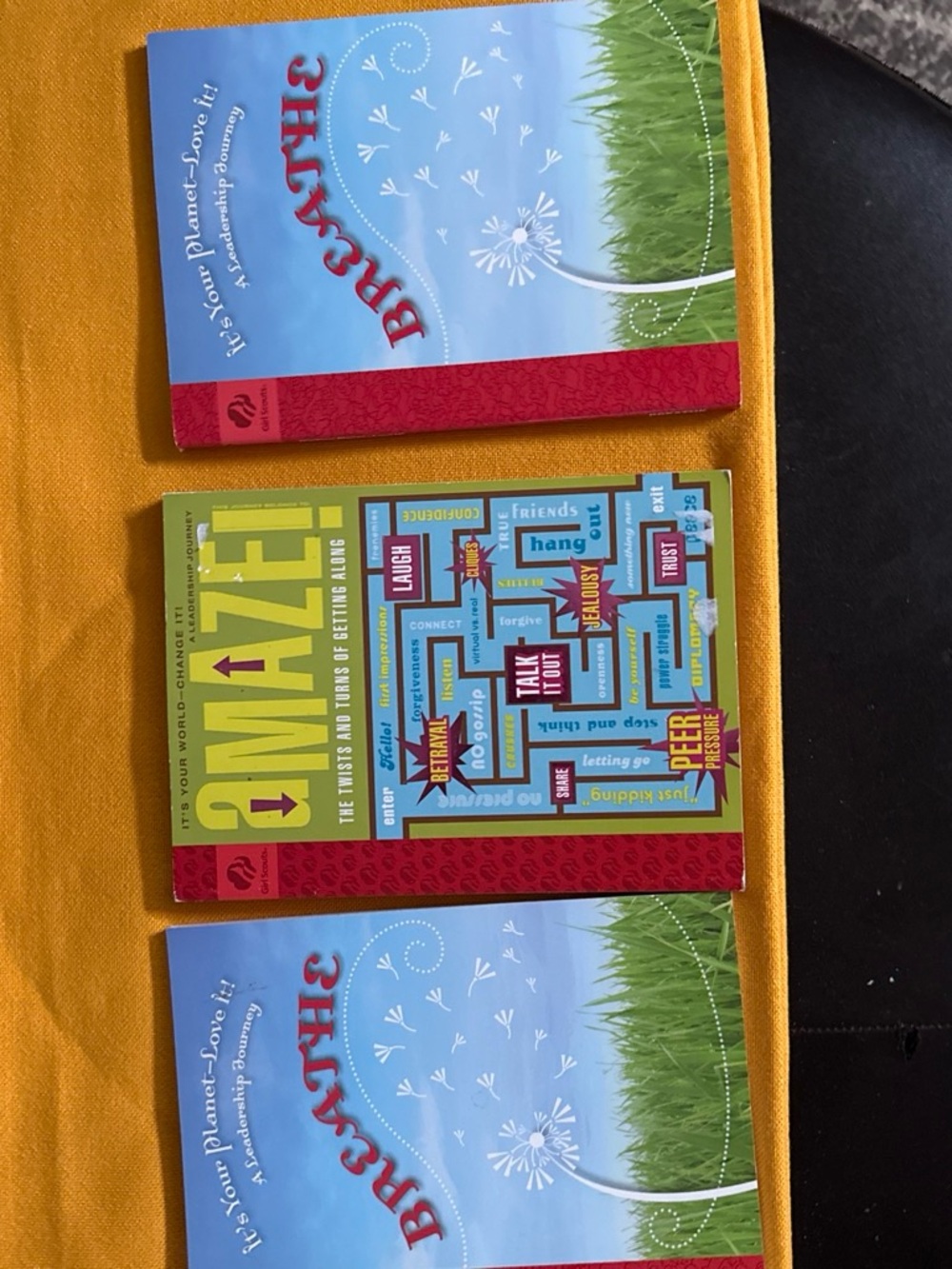 Girl Scouts book set of 3 full of great education